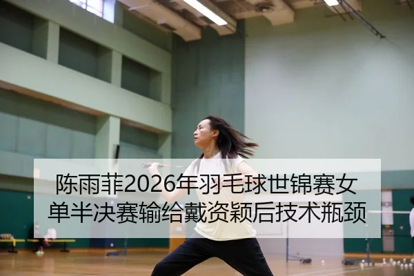 chen-yu-fei-nian-yu-mao-qiu-shi-jin-sai-nv-dan-ban-jue-sai-shu-gei-dai-zi-ying-hou-ji-shu-ping-jing-3-251.jpg