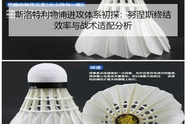 si-luo-te-li-wu-pu-jin-gong-ti-xi-chu-tan-nu-nie-si-zhong-jie-xiao-lv-yu-zhan-shu-shi-pei-fen-xi-2-680.jpg